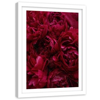 Plakat ozdobny w ramie białej FEEBY Kwiat piwonii natura, 50x70 cm - Feeby