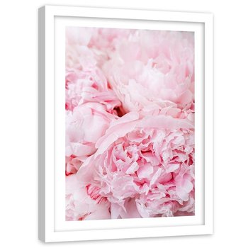 Plakat ozdobny w ramie białej FEEBY Natura kwiat piwonii, 40x50 cm - Feeby