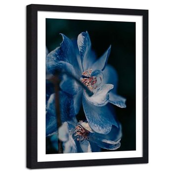 Plakat ozdobny w ramie czarnej FEEBY Kwiat natura roślina, 20x30 cm - Feeby