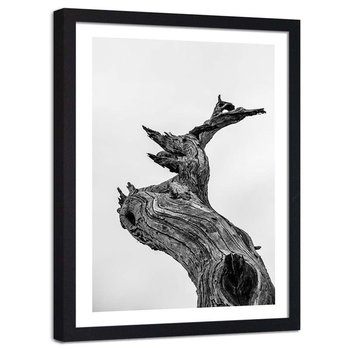 Plakat ozdobny w ramie czarnej FEEBY Suche drzewo konar, 13x18 cm - Feeby
