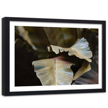 Plakat ozdobny w ramie czarnej FEEBY Tropikalne liście, 90x60 cm - Feeby