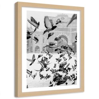 Plakat ozdobny w ramie naturalnej, Dzikie gołębie na śniegu - Plakat w ramie naturalnej - 40x60 - Feeby