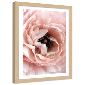 Plakat ozdobny w ramie naturalnej FEEBY Różowy kwiat, 40x50 cm - Feeby