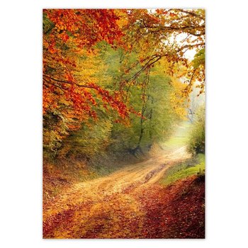 Plakat pionowy Droga w lesie, 29,7x42  cm - ZeSmakiem
