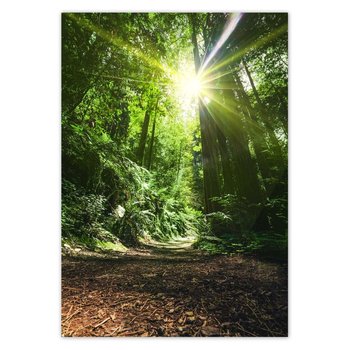Plakat pionowy Magiczny las Krajobraz, 59,4x84,1  cm - ZeSmakiem