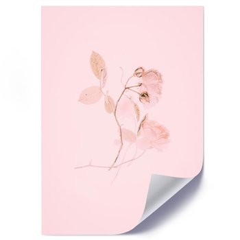 Plakat poster FEEBY, Kwiat Minimalizm Natura Różowy 70x100 - Feeby
