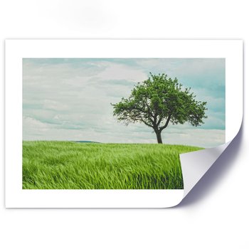 Plakat poster FEEBY, Pejzaż Zielone Drzewo 90x60 - Feeby