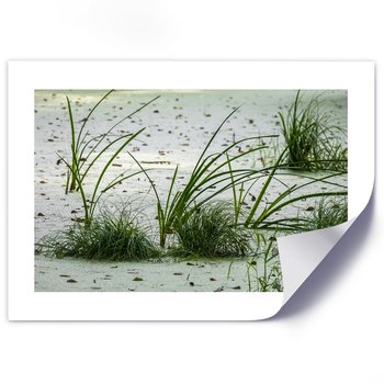 Plakat poster FEEBY, Plaża piasek trawa zielona 90x60 - Feeby