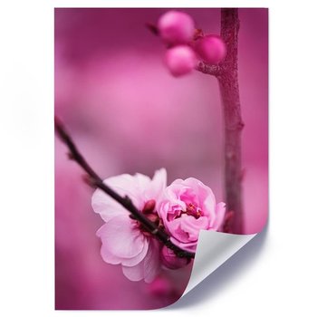 Plakat poster FEEBY, Różowy Kwiat jabłoni 20x30 - Feeby