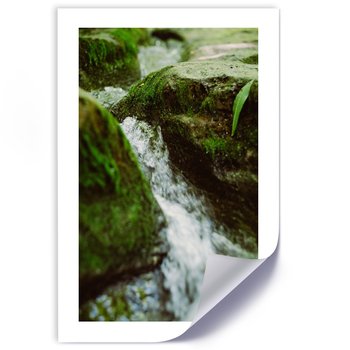 Plakat poster FEEBY, Rzeka Kamienie Natura 40x60 - Feeby