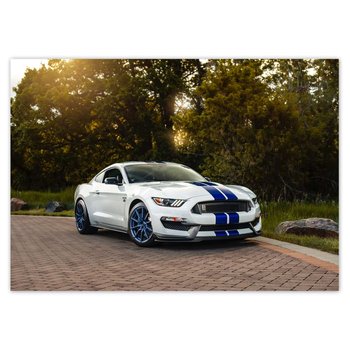 Plakat poziomy Ford Mustang Samochód USA, 59,4x42  cm - ZeSmakiem