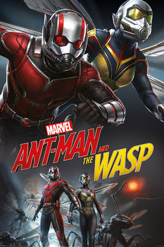Plakat PYRAMID INTERNATIONA Ant-Man And The Wasp Dynamic, 61x91 cm - Pyramid International