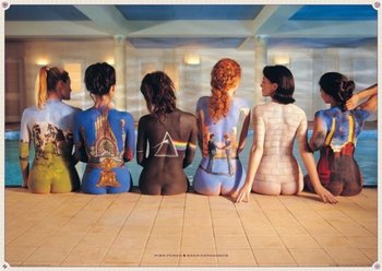 Plakat PYRAMID INTERNATIONA Pink Floyd Back Catalogue, 100x140 cm - Pyramid Posters