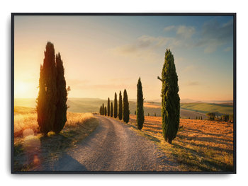 Plakat r B2 70x50 cm Toskania Włochy Italia Słońce - Printonia