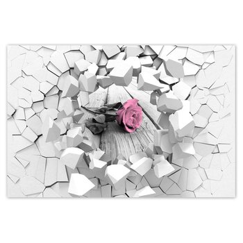 Plakat Róża na jasnych deskach, 90x60 cm - ZeSmakiem