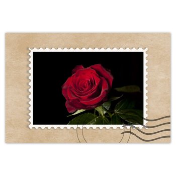 Plakat Śliczna róża, 90x60 cm - ZeSmakiem