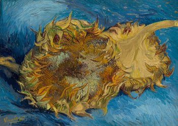 Plakat, Sunflowers, Vincent van Gogh, 40x30 cm - reinders