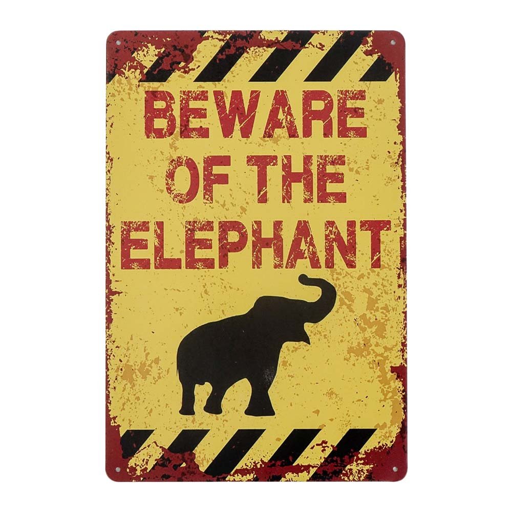 Beware Pazzo Maiale Uomo Sottobicchiere Set Di 4 Scherzo Divertente Animale