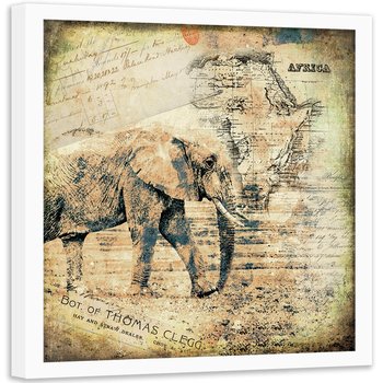 Plakat w ramie białej FEEBY Afrykanski słoń, 60x60 cm - Feeby