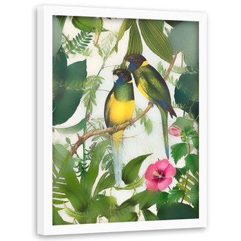 Plakat w ramie białej FEEBY Dwie papugi, 50x70 cm - Feeby