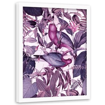 Plakat w ramie białej FEEBY Fioletowe papugi, 70x100 cm - Feeby