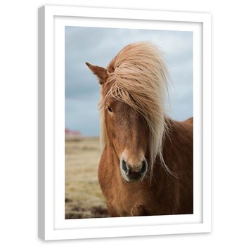Plakat w ramie białej Feeby, Koń z długą grzywą 80x120 cm - Feeby