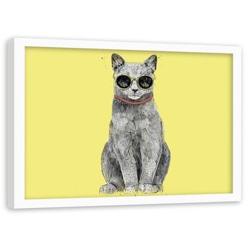 Plakat w ramie białej Feeby,  Kot ubrany w okulary 70x50 cm - Feeby