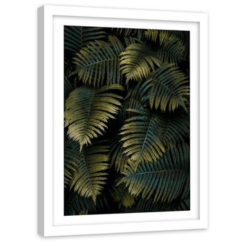 Plakat w ramie białej Feeby, Paproć liście przyroda 60x80 cm - Feeby