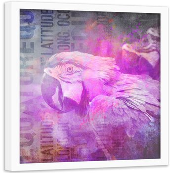 Plakat w ramie białej FEEBY Papuga, abstrakcja, 80x80 cm - Feeby