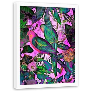 Plakat w ramie białej FEEBY Rajskie papugi, 70x100 cm - Feeby