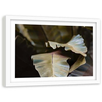 Plakat w ramie białej Feeby, Tropikalna roślina 40x30 cm - Feeby