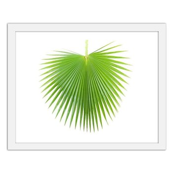 Plakat w ramie białej FEEBY, Zielony liść palmy, 120x80 cm - Feeby