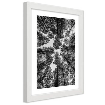 Plakat w ramie białej, Korony drzew 70x100 - Feeby