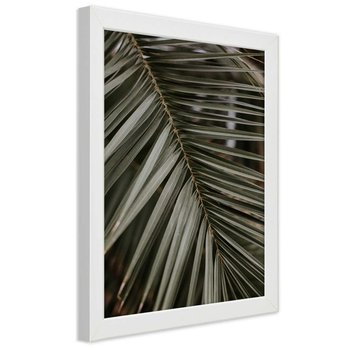 Plakat w ramie białej, Tropikalny liść palmy 30x45 - Feeby