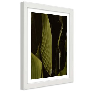 Plakat w ramie białej, Zielone liście tropików 30x45 - Feeby