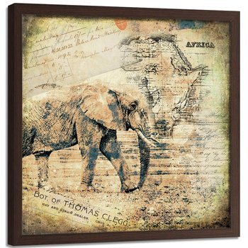 Plakat w ramie brązowej FEEBY Afrykanski słoń, 60x60 cm - Feeby