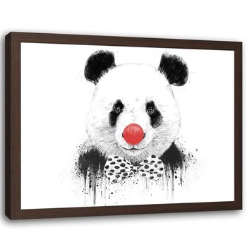 Plakat w ramie brązowej Feeby, Clown panda w przebraniu 60x40 cm - Feeby