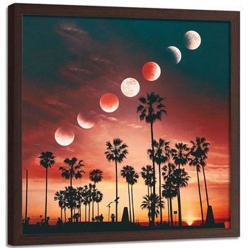 Plakat w ramie brązowej FEEBY Fazy księżyca nad palmami, 40x40 cm - Feeby