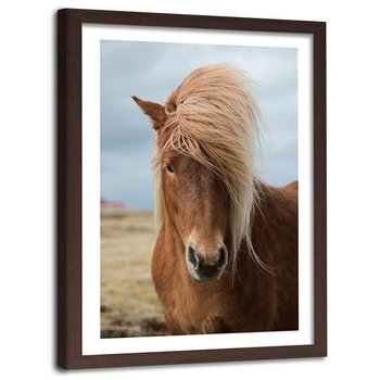 Plakat w ramie brązowej Feeby, Koń z długą grzywą 13x18 cm - Feeby
