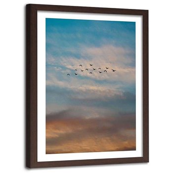 Plakat w ramie brązowej Feeby, Lecące ptaki na tle nieba 60x80 cm - Feeby