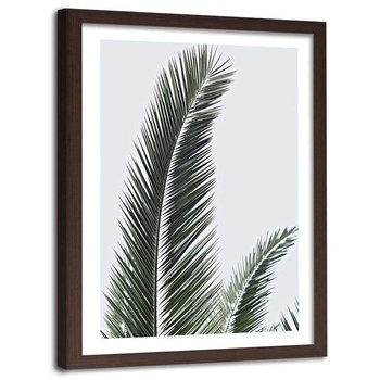 Plakat w ramie brązowej Feeby, Liście palmowe natura 40x60 cm - Feeby