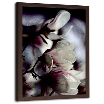 Plakat w ramie brązowej FEEBY Pączki magnolii, 40x60 cm - Feeby