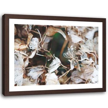Plakat w ramie brązowej Feeby, Suche liście natura 100x70 cm - Feeby