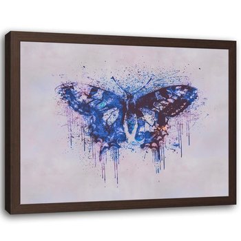 Plakat w ramie brązowej FEEBY Wielobarwny motyl, 60x40 cm - Feeby