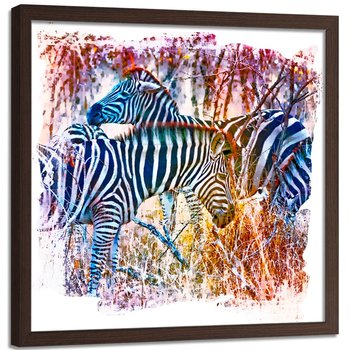 Plakat w ramie brązowej FEEBY Zebry na kolorowym tle, 60x60 cm - Feeby
