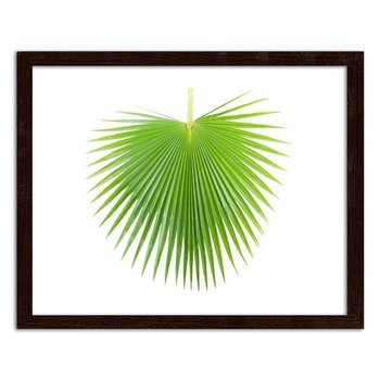 Plakat w ramie brązowej FEEBY, Zielony liść palmy, 90x60 cm - Feeby