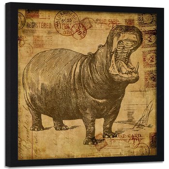 Plakat w ramie czarnej FEEBY Afrykański hipopotam, 60x60 cm - Feeby