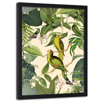 Plakat w ramie czarnej FEEBY Egzotyczne ptaki, 50x70 cm - Feeby