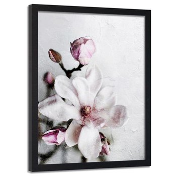 Plakat w ramie czarnej FEEBY Kwiat magnolii, 70x100 cm - Feeby