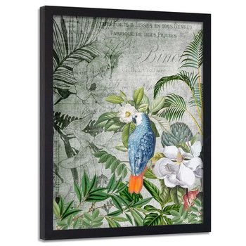 Plakat w ramie czarnej FEEBY Niebieska papuga, 50x70 cm - Feeby